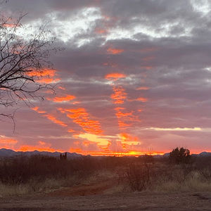 Meet your Posher, Isela